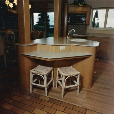 janscans235.jpg
